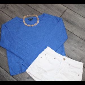 Blue Sweater wild fable